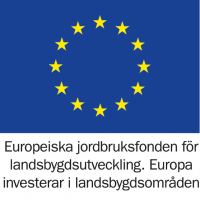 EU_Logo kopiera